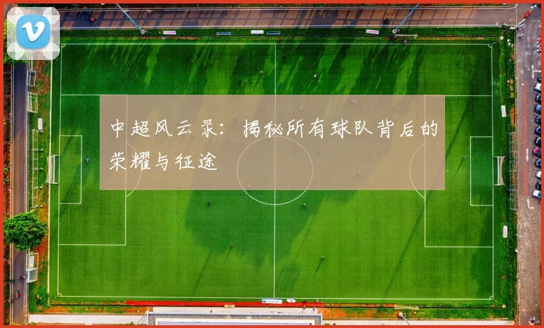 中超风云录:揭秘所有球队背后的荣耀与征途